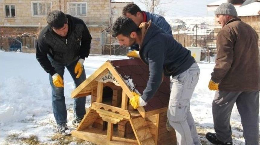 Nevşehir Belediyesinden Kedilere &Ouml;zel Ev