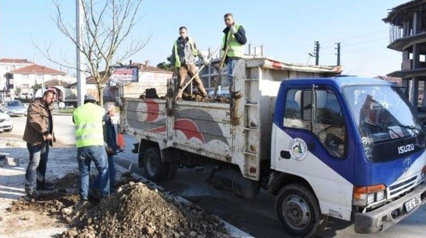 D&uuml;zce&rsquo;de Bulvarlara Ağa&ccedil; Dikiliyor