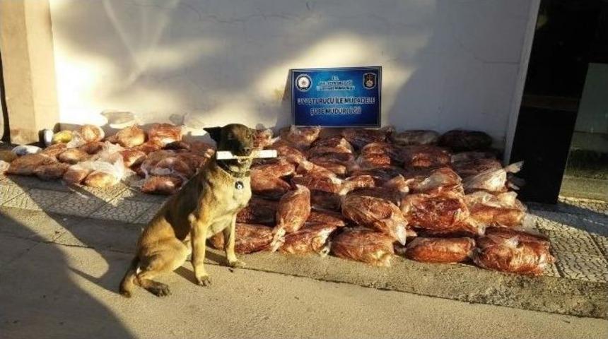 Zehir Tacirlerine Ge&ccedil;it Yok: 6 Tutuklama