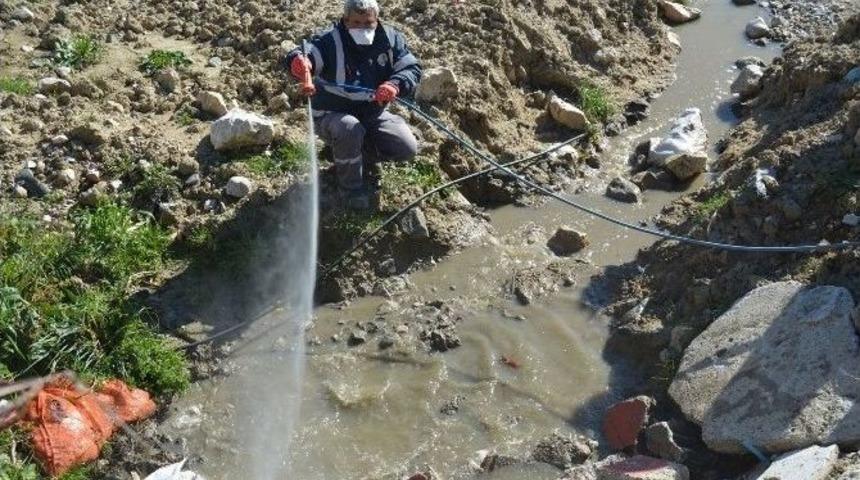 B&uuml;y&uuml;kşehir Haşereyle M&uuml;cadeye Başladı