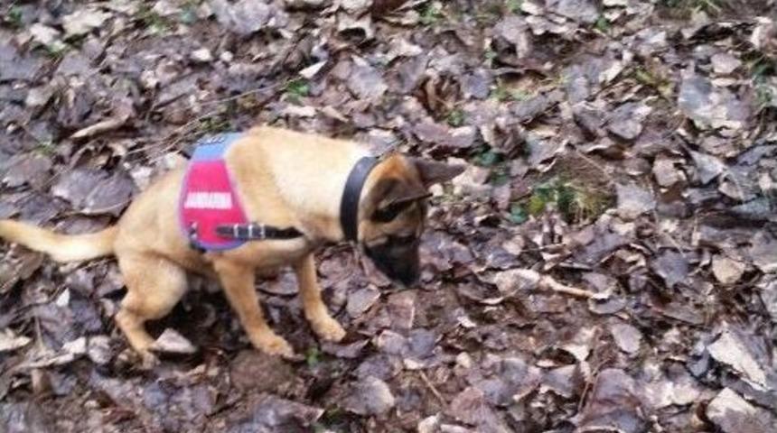 &Ccedil;arşamba&rsquo;daki Cinayet Olayında Aracı Kullanan Ş&uuml;pheli Adliyede