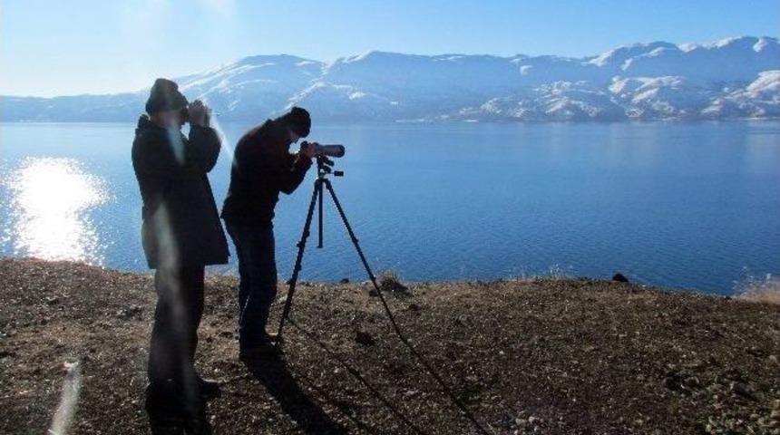 Elazığ&rsquo;da 58 Binden Fazla Su Kuşu Tespit Edildi