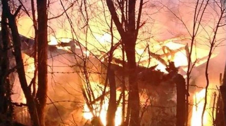 Yaşlı Kadın &Ccedil;ıkan Yangında Can Verdi