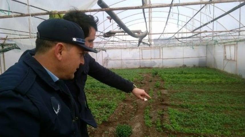 Uşak&rsquo;ta &Uuml;retici Esnaf Denetlendi