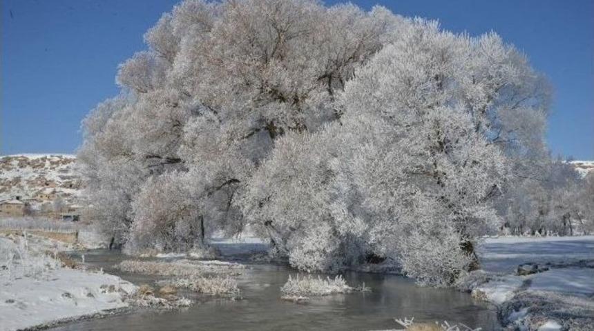 Pınarbaşı&rsquo;nın Ayvacık K&ouml;y&uuml; Eski İsmi Olan Cabe&rsquo;yi Geri Alıyor