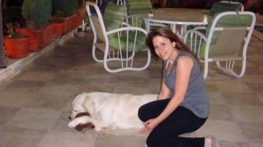 (&ouml;zel Haber) Savaştan Ka&ccedil;ırdığı 150 Kediyi Avrupa&rsquo;da Sahiplendirdi