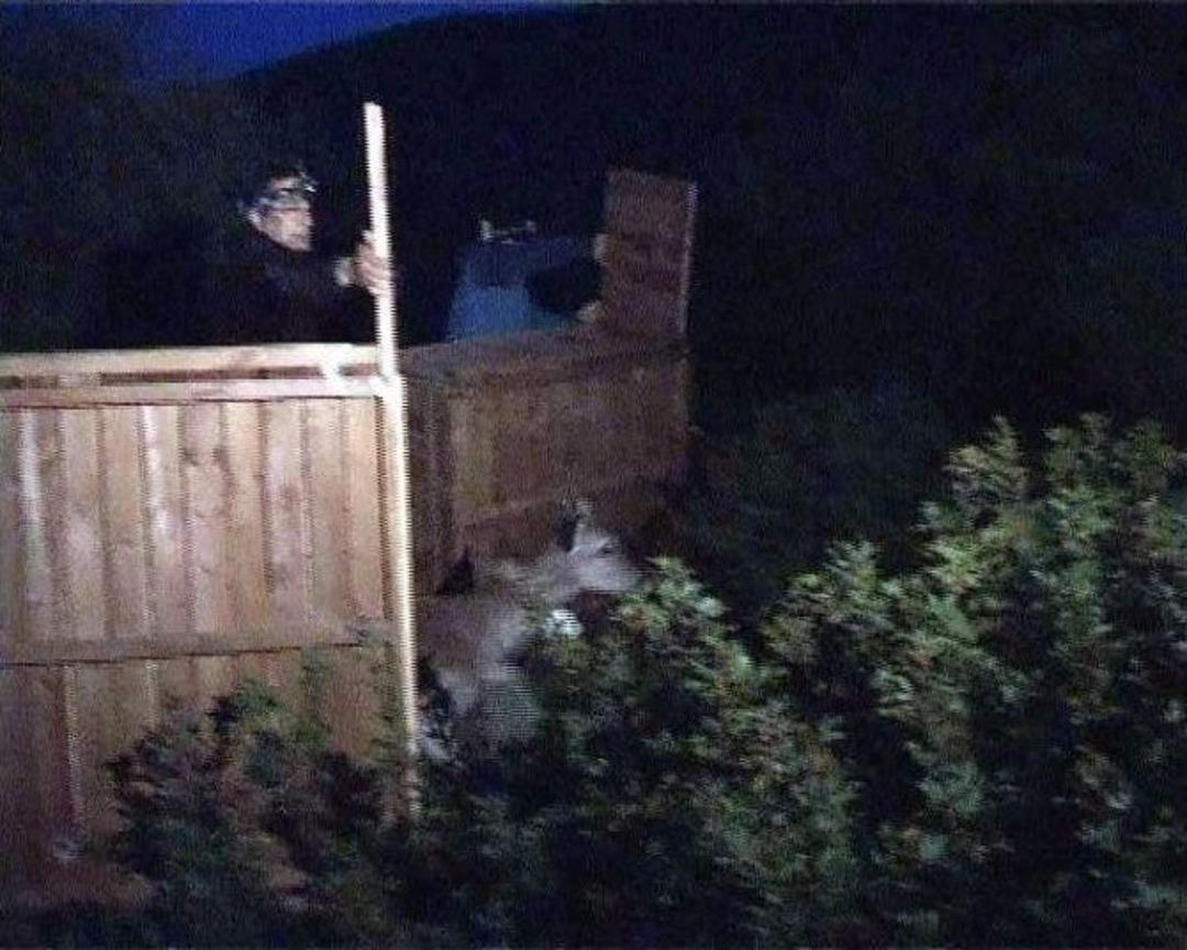 G&uuml;zel&ccedil;amlı Milli Parkı&rsquo;na 32 Alageyik 10 Bin 700 Keklik Salındı