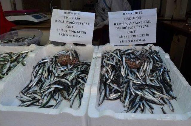 1 Kilogram Fındık Getirene 1 Kilogram Hamsi Dönemi