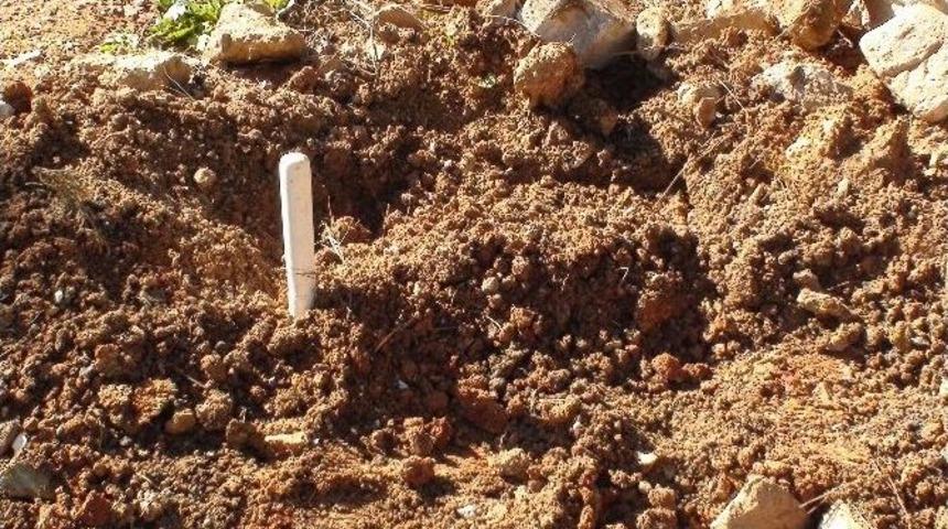 (&ouml;zel Haber) Mezarlık Yanına G&ouml;m&uuml;len K&ouml;pek Yavrusu Polisi Alarma Ge&ccedil;irdi