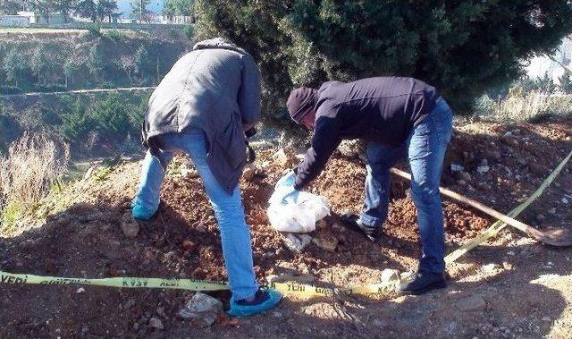 (özel Haber) Mezarlık Yanına Gömülen Köpek Yavrusu Polisi Alarma Geçirdi
