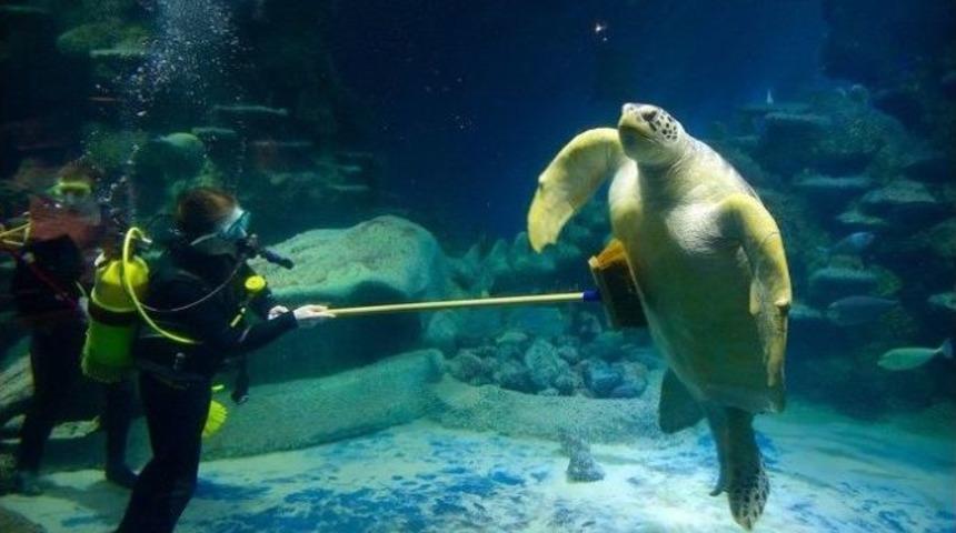 Eser &Ouml;ğrencileri G&ouml;n&uuml;llerince Eğlendi