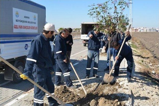 Ceyhan’a Büyükşehir Eli