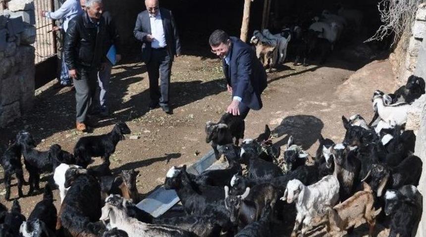 Turgut: "vatandaşın Ayağına Gidip Sorunları &Ccedil;&ouml;z&uuml;yoruz"