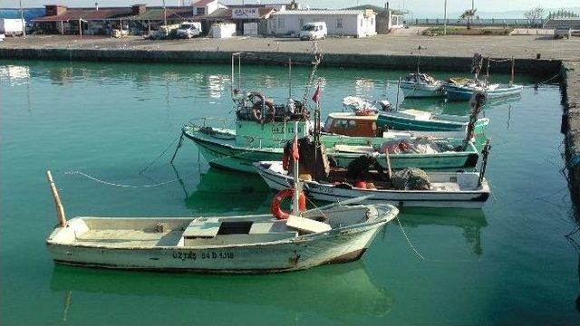 Akçakoca Baharı Yaşıyor