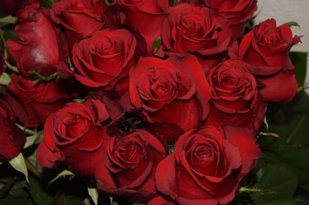 Giresun&rsquo;da &Ccedil;i&ccedil;ek&ccedil;ilerde Sevgililer G&uuml;n&uuml; Hazırlıkları Başladı