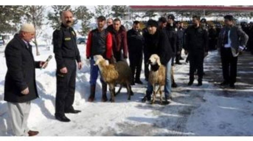 Meslektaş Ağabeyleri İ&ccedil;in Kurban Kestiler