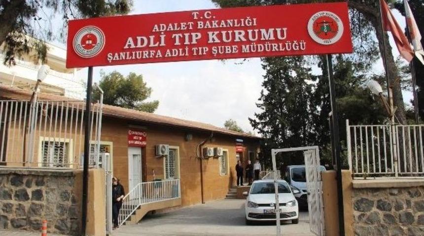 Cizre&rsquo;de &Ouml;ld&uuml;r&uuml;len Ter&ouml;ristlerden 8&rsquo;inin Cesedi Şanlıurfa&rsquo;ya Getirildi