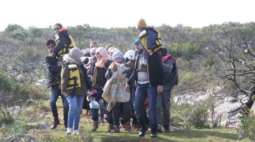 Didim’de 424 Göçmen Umut Yolculuğunda Yakalandı