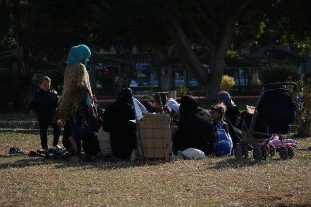 İskenderun’da Bahardan Kalma Günler Yaşanıyor