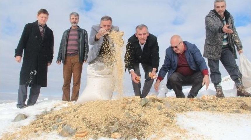 Avcılar Doğaya Yem Bıraktı