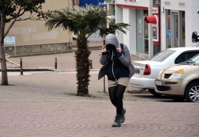 Bursa’da Lodos Tehdidi Geri Döndü