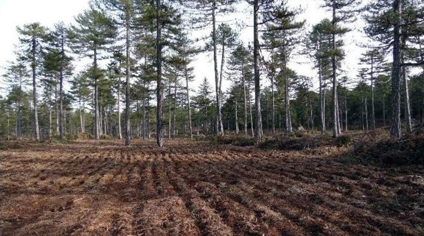 Orman Ve Su İşleri Bakanlığı Antalya &Ccedil;alışmaları