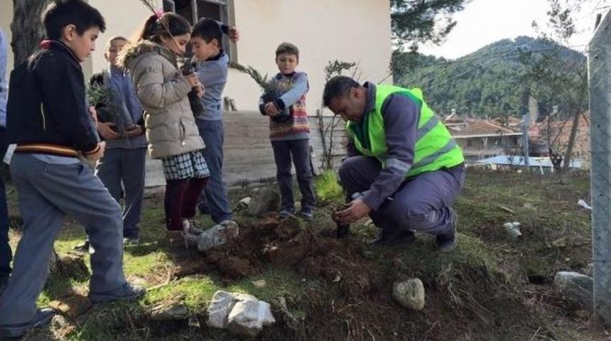 G&ouml;zleme İkramlı Fidan Dikimi