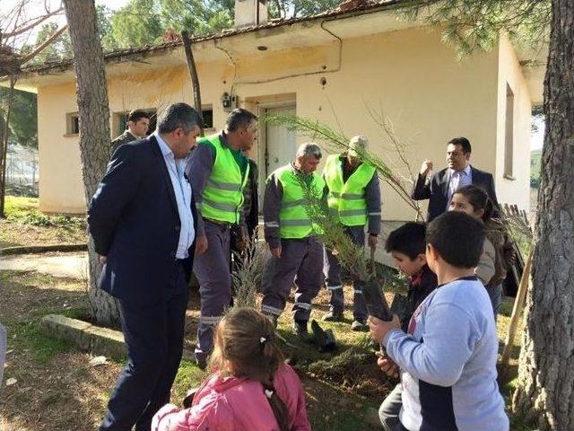 Gözleme İkramlı Fidan Dikimi