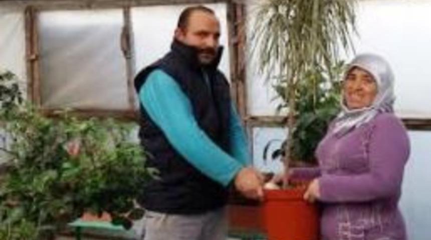 Eyvah Bitkim Hastalandı