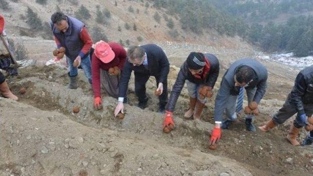 Mersin’de Maden Sahaları Topalak Çamur Tohumlarla Yeşillendiriliyor