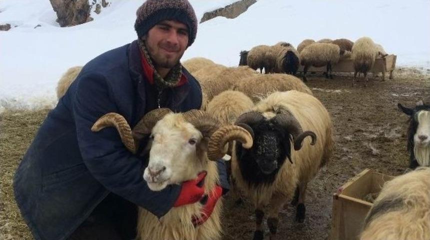 K&ouml;yl&uuml;lerin Kış &Ccedil;ilesi