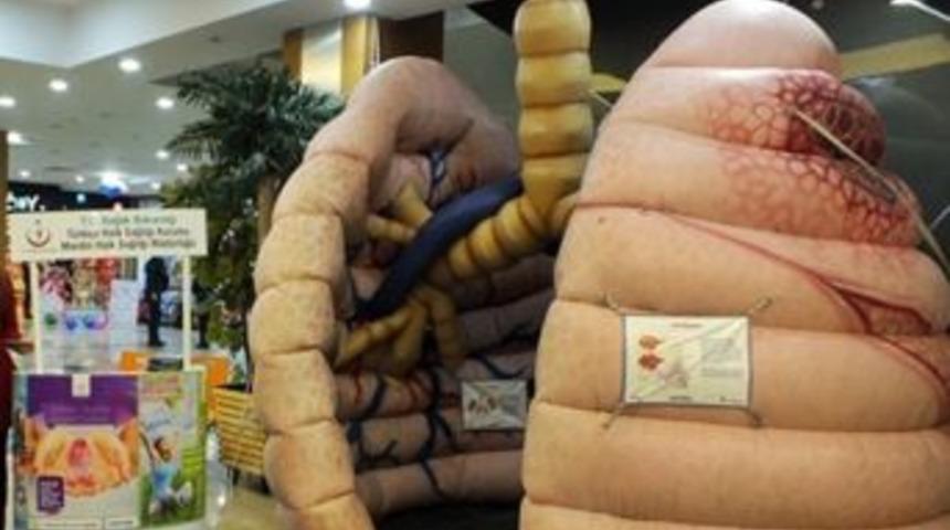 &lsquo;koca Akciğer Maketi&rsquo; Mardin&rsquo;de