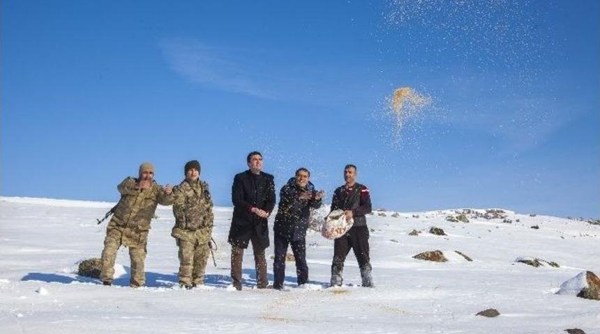 Ahlat&rsquo;ta Doğaya Yem Bırakıldı