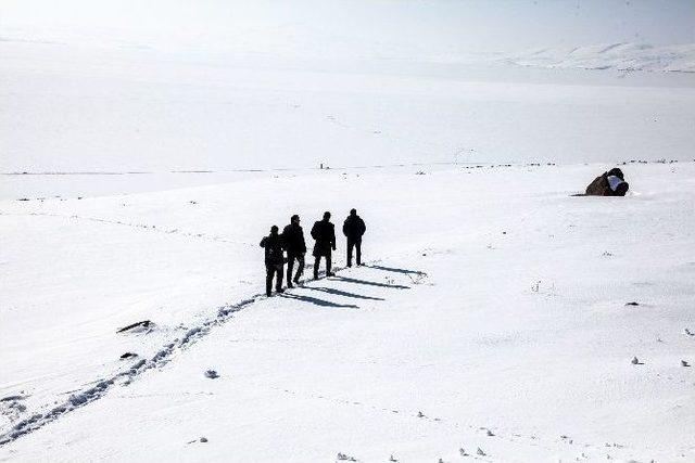 Ahlat’ta Doğaya Yem Bırakıldı