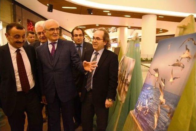 Yükümlülerin Hayatı Elvinder İle Değişti 1