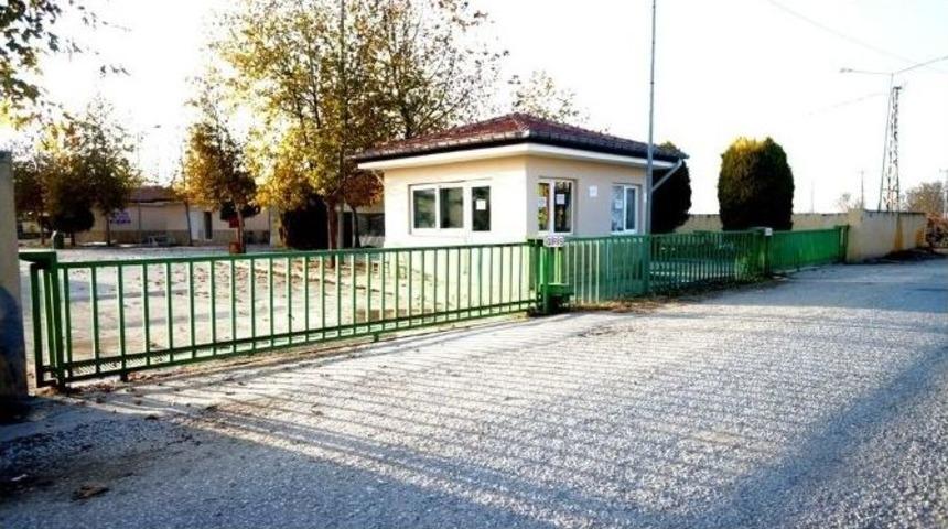 Hayvan Pazarındaki Yasak Kalktı