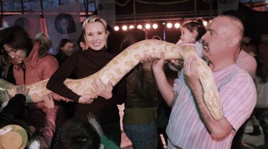 Avrasya Sirki Nefes Kesti