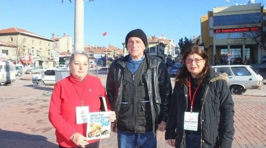 Hayvan Hakları Federasyon Başkan Yardımcısı K&ouml;pek &Ouml;l&uuml;mlerini İncelemeye Geldi