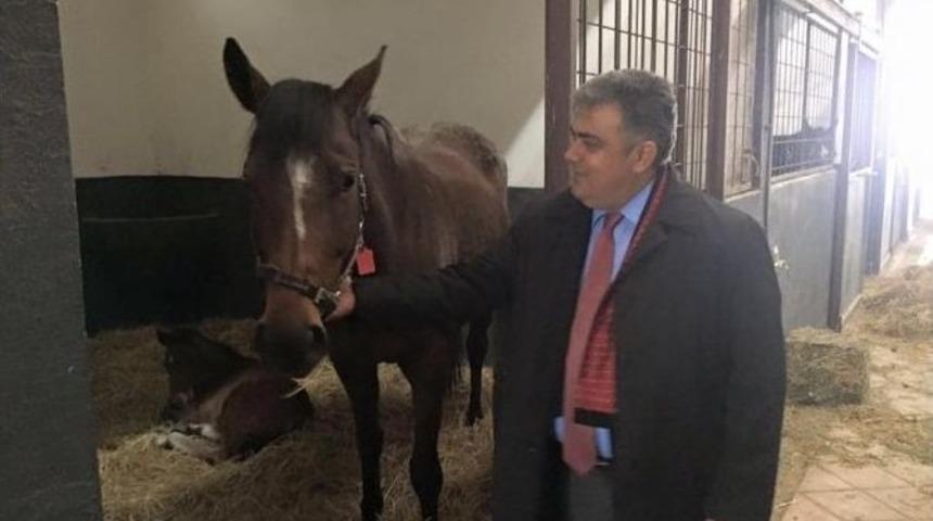 Başkan &Ouml;zg&uuml;ven Ereğli&rsquo;ye Atlı Spor Kul&uuml;b&uuml; Kazandırmak İstiyor