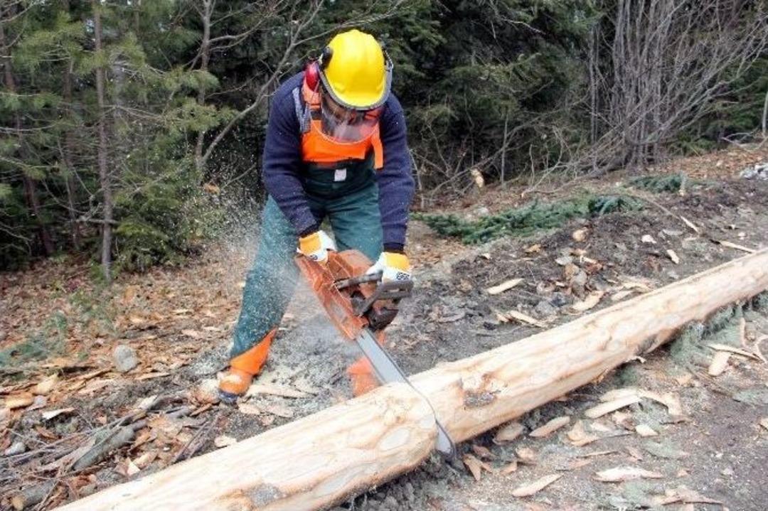 Kastamonu Orman B&ouml;lge M&uuml;d&uuml;r&uuml; H&uuml;seyin Din&ccedil;er: