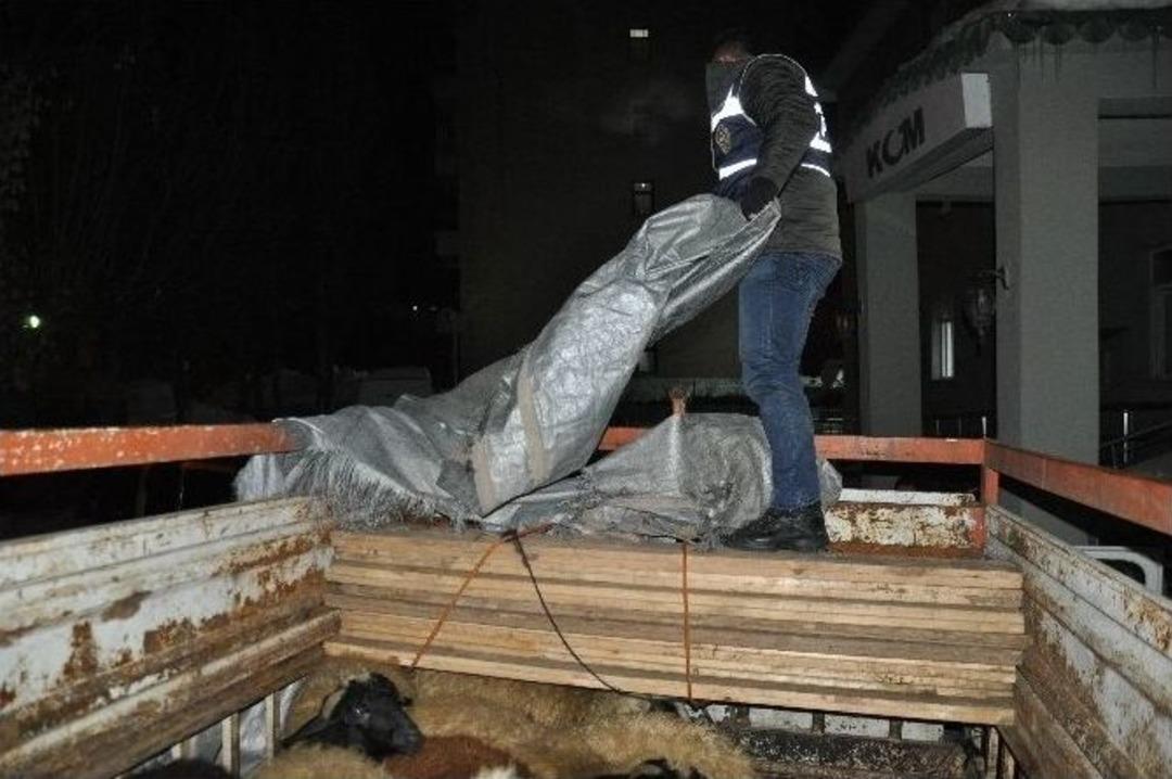 Hayvan Y&uuml;kl&uuml; Ara&ccedil;la Ka&ccedil;ak Sigara Sevkiyatı