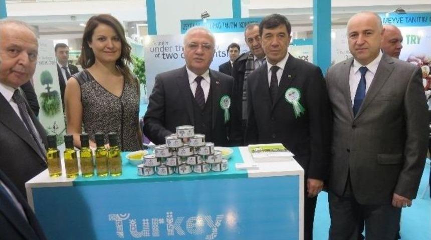 Zeytin Ve Zeytinyağının Tanıtım Atağı S&uuml;r&uuml;yor