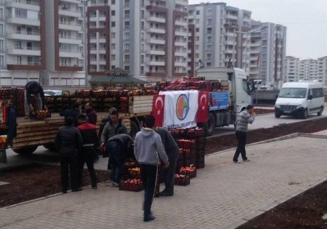 Sur’da Görevli Asker Ve Polislere 15 Ton Narenciye