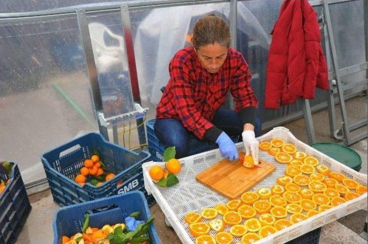 Seferihisar Mandalinası 12 Ay Sofra Ve Raflarda G1