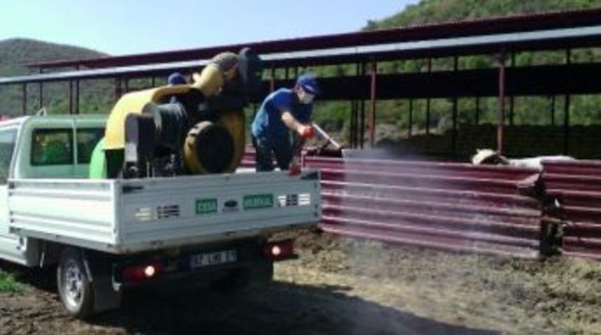 Manavgat&rsquo;ta Besihaneler İla&ccedil;landı