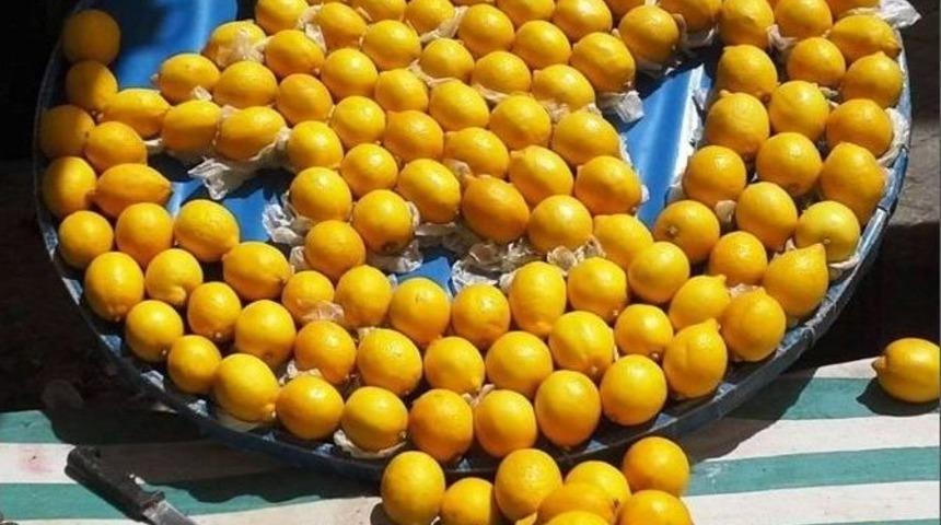 Limonlarla Ay-yıldız Yaptı