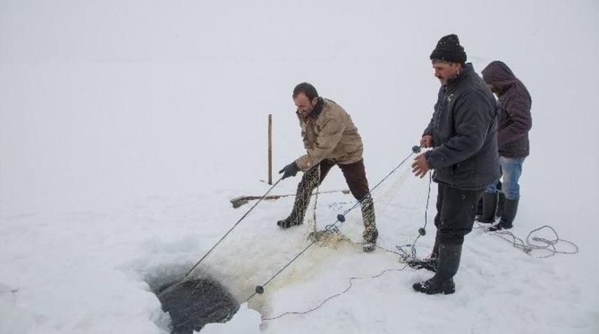(özel Haber) - Saatlerce Uğraştılar Sadece Bir Balık Tutabildiler