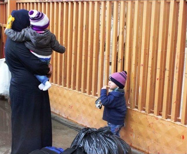 Suriye’de Ateşkes Haberleri Üzerine, Mülteciler Sınır Kapısına Akın Etti