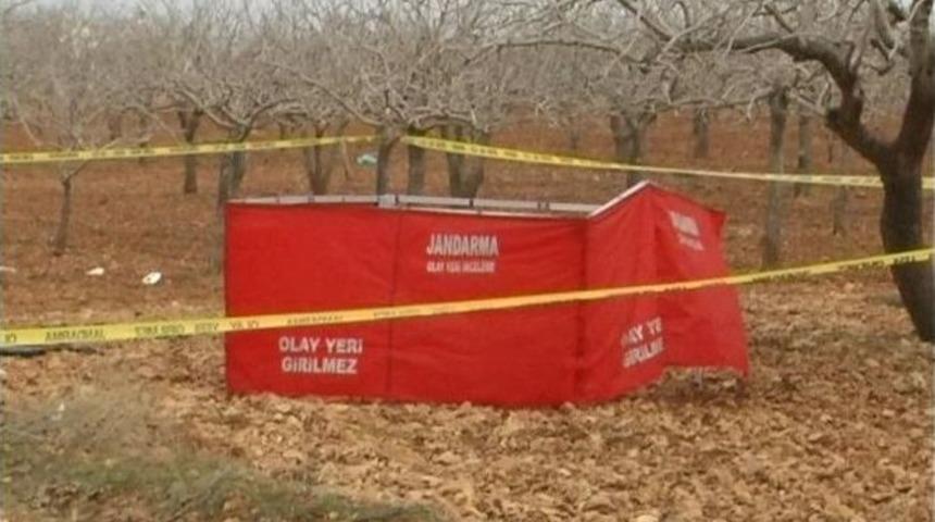 Şalıurfa&rsquo;da Yanmış Erkek Cesedi Bulundu