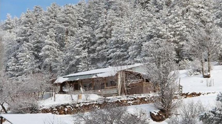 Coreker Yaylasında Kış Başka G&uuml;zel